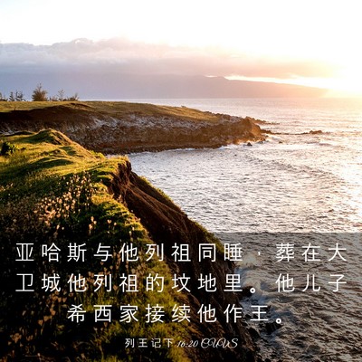 Picture 03 - 列 王 记 下 16:20 CUVS - 亚 哈 斯 与 他 列 祖 同 睡 ， 葬 在 - Bible Verse Picture