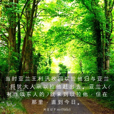 Picture 03 - 列 王 记 下 16:6 CUVS - 当 时 亚 兰 王 利 汛 收 回 以 拉 他 - Bible Verse Picture