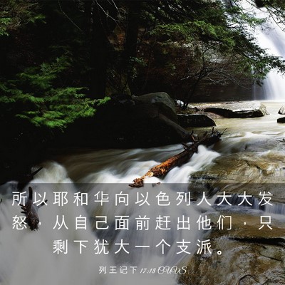 Picture 03 - 列 王 记 下 17:18 CUVS - 所 以 耶 和 华 向 以 色 列 人 大 大 - Bible Verse Picture