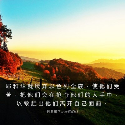 Picture 03 - 列 王 记 下 17:20 CUVS - 耶 和 华 就 厌 弃 以 色 列 全 族 ， - Bible Verse Picture