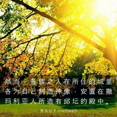 Picture 03 - 列 王 记 下 17:29 CUVS - 然 而 ， 各 族 之 人 在 所 住 的 城 - Bible Verse Picture