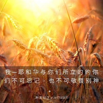 Picture 03 - 列 王 记 下 17:38 CUVS - 我 ─ 耶 和 华 与 你 们 所 立 的 约 - Bible Verse Picture
