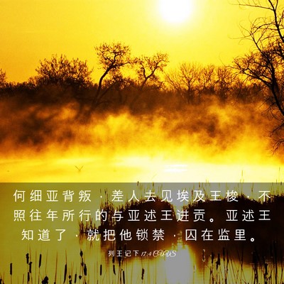 Picture 03 - 列 王 记 下 17:4 CUVS - 何 细 亚 背 叛 ， 差 人 去 见 埃 及 - Bible Verse Picture