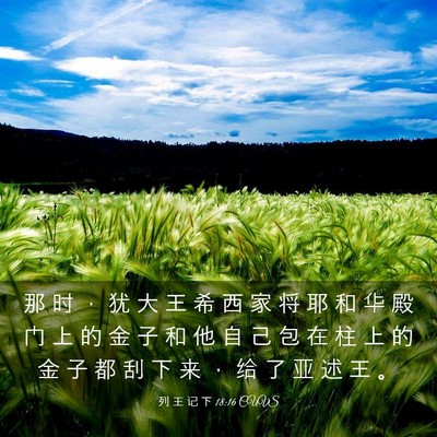 Picture 03 - 列 王 记 下 18:16 CUVS - 那 时 ， 犹 大 王 希 西 家 将 耶 和 - Bible Verse Picture
