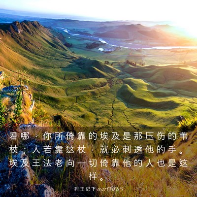 Picture 03 - 列 王 记 下 18:21 CUVS - 看 哪 ， 你 所 倚 靠 的 埃 及 是 那 - Bible Verse Picture