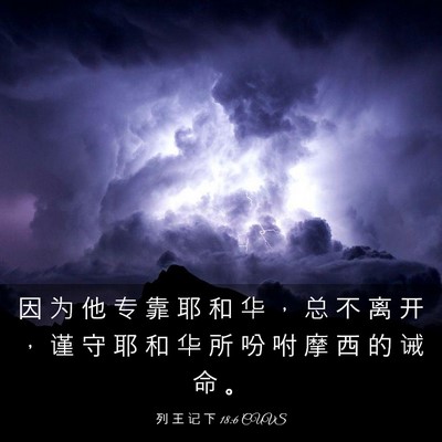 Picture 03 - 列 王 记 下 18:6 CUVS - 因 为 他 专 靠 耶 和 华 ， 总 不 离 - Bible Verse Picture