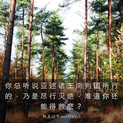 Picture 03 - 列 王 记 下 19:11 CUVS - 你 总 听 说 亚 述 诸 王 向 列 国 所 - Bible Verse Picture