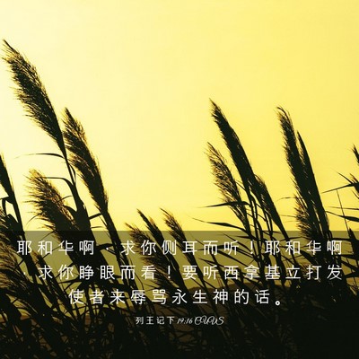 Picture 03 - 列 王 记 下 19:16 CUVS - 耶 和 华 啊 ， 求 你 侧 耳 而 听 ！ - Bible Verse Picture