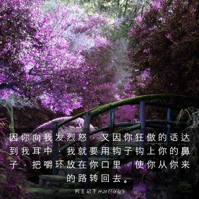 Picture 03 - 列 王 记 下 19:28 CUVS - 因 你 向 我 发 烈 怒 ， 又 因 你 狂 - Bible Verse Picture
