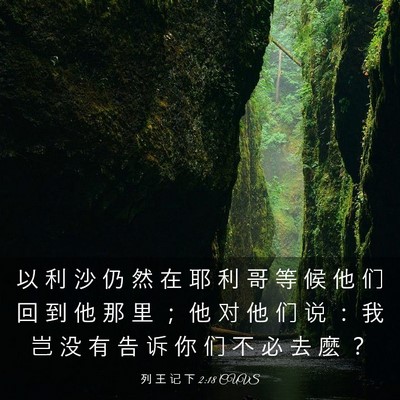 Picture 03 - 列 王 记 下 2:18 CUVS - 以 利 沙 仍 然 在 耶 利 哥 等 候 他 - Bible Verse Picture