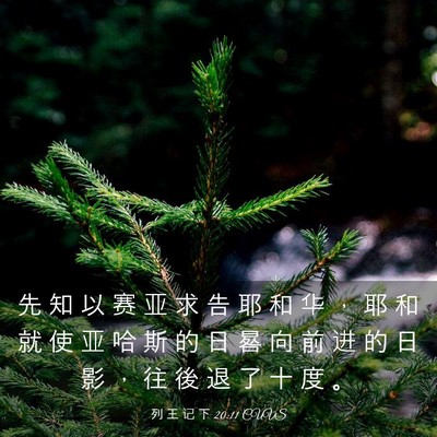 Picture 03 - 列 王 记 下 20:11 CUVS - 先 知 以 赛 亚 求 告 耶 和 华 ， 耶 - Bible Verse Picture