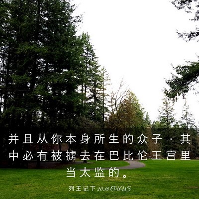 Picture 03 - 列 王 记 下 20:18 CUVS - 并 且 从 你 本 身 所 生 的 众 子 ， - Bible Verse Picture