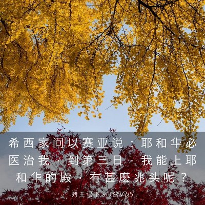 Picture 03 - 列 王 记 下 20:8 CUVS - 希 西 家 问 以 赛 亚 说 ： 耶 和 华 - Bible Verse Picture