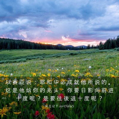 Picture 03 - 列 王 记 下 20:9 CUVS - 以 赛 亚 说 ： 耶 和 华 必 成 就 他 - Bible Verse Picture