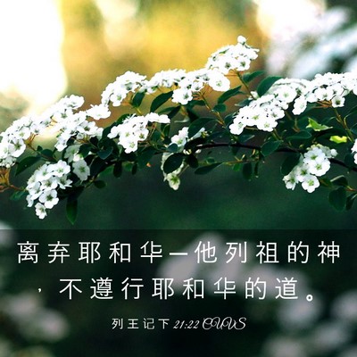 Picture 03 - 列 王 记 下 21:22 CUVS - 离 弃 耶 和 华 ─ 他 列 祖 的 神 ， - Bible Verse Picture