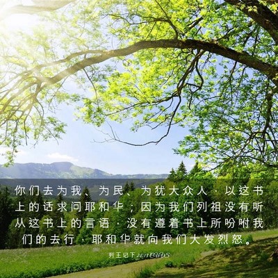 Picture 03 - 列 王 记 下 22:13 CUVS - 你 们 去 为 我 、 为 民 、 为 犹 大 - Bible Verse Picture