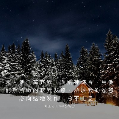 Picture 03 - 列 王 记 下 22:17 CUVS - 因 为 他 们 离 弃 我 ， 向 别 神 烧 - Bible Verse Picture