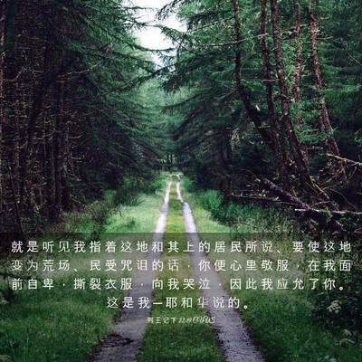 Picture 03 - 列 王 记 下 22:19 CUVS - 就 是 听 见 我 指 着 这 地 和 其 上 - Bible Verse Picture