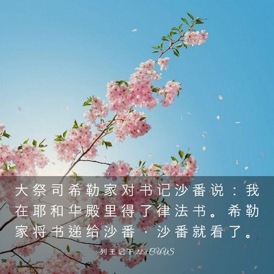 Picture 03 - 列 王 记 下 22:8 CUVS - 大 祭 司 希 勒 家 对 书 记 沙 番 说 - Bible Verse Picture