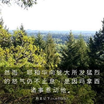 Picture 03 - 列 王 记 下 23:26 CUVS - 然 而 ， 耶 和 华 向 犹 大 所 发 猛 - Bible Verse Picture
