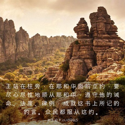 Picture 03 - 列 王 记 下 23:3 CUVS - 王 站 在 柱 旁 ， 在 耶 和 华 面 前 - Bible Verse Picture