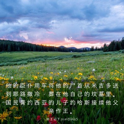 Picture 03 - 列 王 记 下 23:30 CUVS - 他 的 臣 仆 用 车 将 他 的 尸 首 从 - Bible Verse Picture