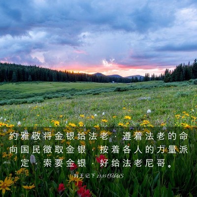 Picture 03 - 列 王 记 下 23:35 CUVS - 约 雅 敬 将 金 银 给 法 老 ， 遵 着 - Bible Verse Picture