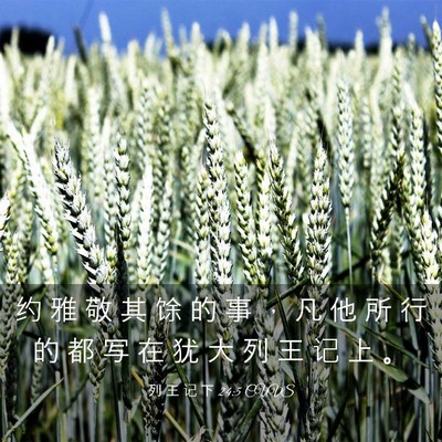 Picture 03 - 列 王 记 下 24:5 CUVS - 约 雅 敬 其 馀 的 事 ， 凡 他 所 行 - Bible Verse Picture