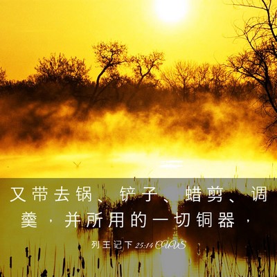 Picture 03 - 列 王 记 下 25:14 CUVS - 又 带 去 锅 、 铲 子 、 蜡 剪 、 调 - Bible Verse Picture