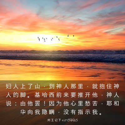 Picture 03 - 列 王 记 下 4:27 CUVS - 妇 人 上 了 山 ， 到 神 人 那 里 ， - Bible Verse Picture