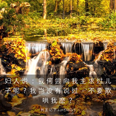 Picture 03 - 列 王 记 下 4:28 CUVS - 妇 人 说 ： 我 何 尝 向 我 主 求 过 - Bible Verse Picture
