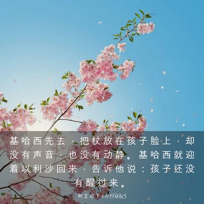 Picture 03 - 列 王 记 下 4:31 CUVS - 基 哈 西 先 去 ， 把 杖 放 在 孩 子 - Bible Verse Picture