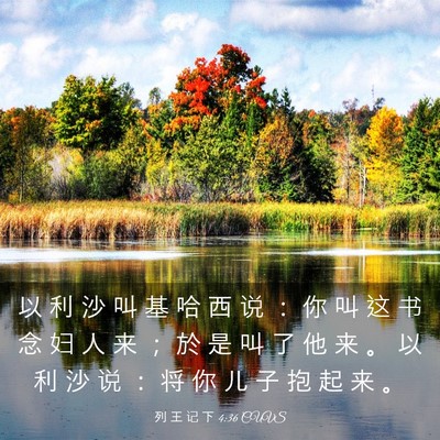 Picture 03 - 列 王 记 下 4:36 CUVS - 以 利 沙 叫 基 哈 西 说 ： 你 叫 这 - Bible Verse Picture