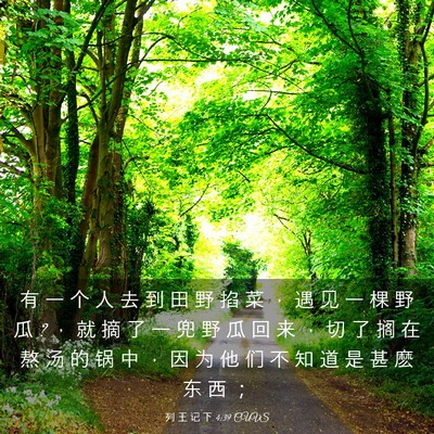 Picture 03 - 列 王 记 下 4:39 CUVS - 有 一 个 人 去 到 田 野 掐 菜 ， 遇 - Bible Verse Picture