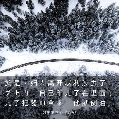 Picture 03 - 列 王 记 下 4:5 CUVS - 於 是 ， 妇 人 离 开 以 利 沙 去 了 - Bible Verse Picture