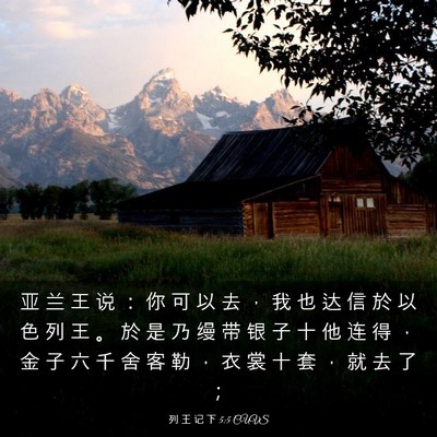 Picture 03 - 列 王 记 下 5:5 CUVS - 亚 兰 王 说 ： 你 可 以 去 ， 我 也 - Bible Verse Picture