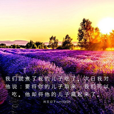 Picture 03 - 列 王 记 下 6:29 CUVS - 我 们 就 煮 了 我 的 儿 子 吃 了 。 - Bible Verse Picture