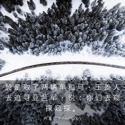 Picture 03 - 列 王 记 下 7:14 CUVS - 於 是 取 了 两 辆 车 和 马 ， 王 差 - Bible Verse Picture