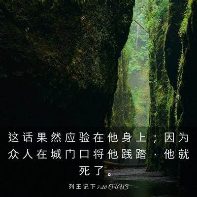 Picture 03 - 列 王 记 下 7:20 CUVS - 这 话 果 然 应 验 在 他 身 上 ； 因 - Bible Verse Picture