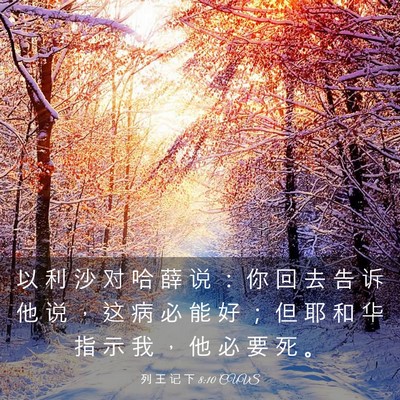 Picture 03 - 列 王 记 下 8:10 CUVS - 以 利 沙 对 哈 薛 说 ： 你 回 去 告 - Bible Verse Picture