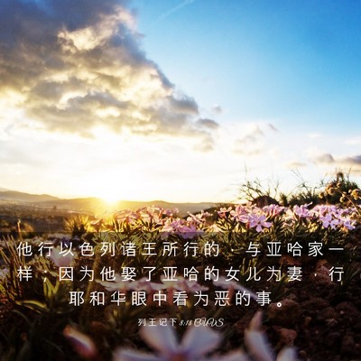 Picture 03 - 列 王 记 下 8:18 CUVS - 他 行 以 色 列 诸 王 所 行 的 ， 与 - Bible Verse Picture