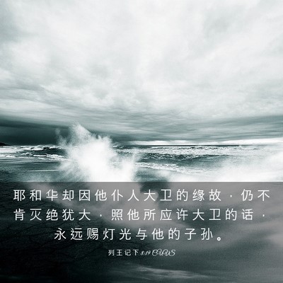 Picture 03 - 列 王 记 下 8:19 CUVS - 耶 和 华 却 因 他 仆 人 大 卫 的 缘 - Bible Verse Picture