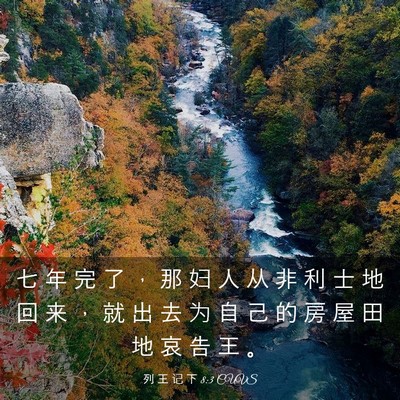 Picture 03 - 列 王 记 下 8:3 CUVS - 七 年 完 了 ， 那 妇 人 从 非 利 士 - Bible Verse Picture