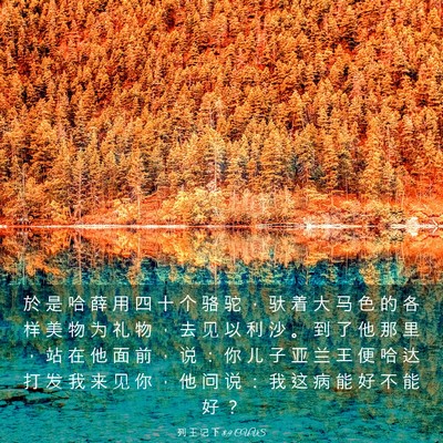 Picture 03 - 列 王 记 下 8:9 CUVS - 於 是 哈 薛 用 四 十 个 骆 驼 ， 驮 - Bible Verse Picture