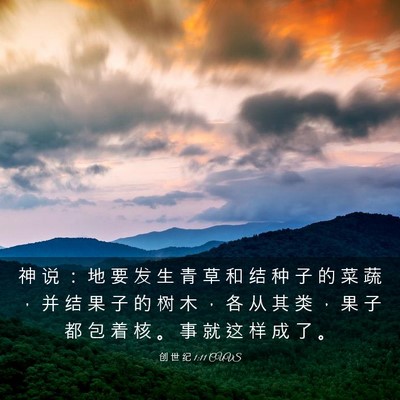 Picture 03 - 创 世 纪 1:11 CUVS - 神 说 ： 地 要 发 生 青 草 和 结 种 - Bible Verse Picture