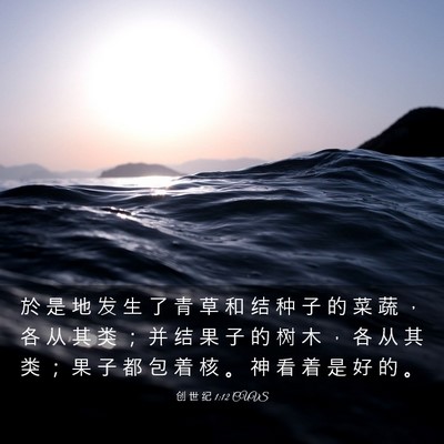 Picture 03 - 创 世 纪 1:12 CUVS - 於 是 地 发 生 了 青 草 和 结 种 子 - Bible Verse Picture