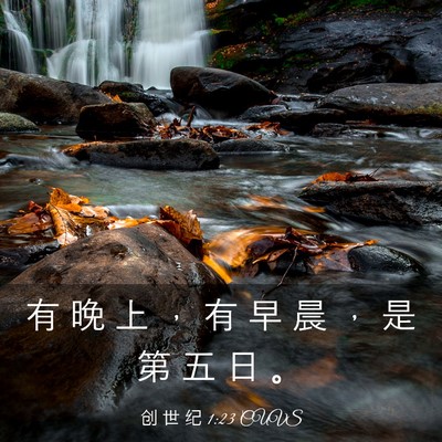 Picture 03 - 创 世 纪 1:23 CUVS - 有 晚 上 ， 有 早 晨 ， 是 第 五 日 - Bible Verse Picture