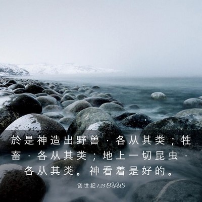 Picture 03 - 创 世 纪 1:25 CUVS - 於 是 神 造 出 野 兽 ， 各 从 其 类 - Bible Verse Picture