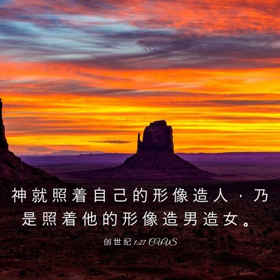 Picture 03 - 创 世 纪 1:27 CUVS - 神 就 照 着 自 己 的 形 像 造 人 ， - Bible Verse Picture