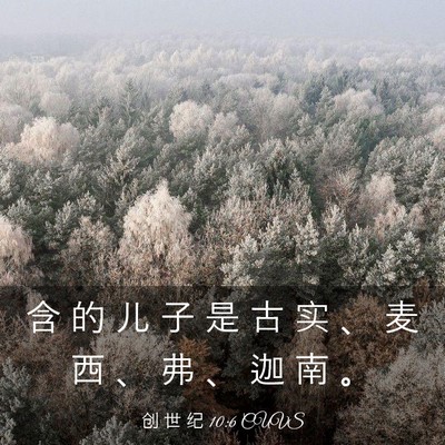 Picture 03 - 创 世 纪 10:6 CUVS - 含 的 儿 子 是 古 实 、 麦 西 、 弗 - Bible Verse Picture